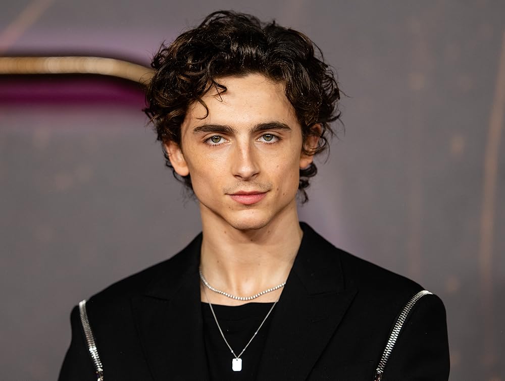 Timothee Chalamet Faces&nbsp;Criticism